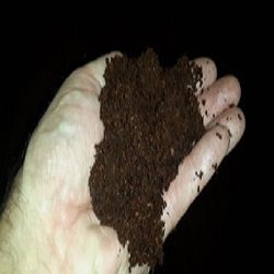 coco peat